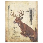 Vintage Archery Arrow Patent Art Print Whitetail Deer Bow Hunting Wall Art Decor