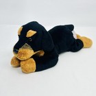 Rottweiler Puppy Dog Plush Black Brown 12    Stuffed Animal Realistic Fao Schwarz