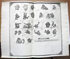 1967 Jungle Book Walt Disney Original Production Cel Drawing Photo Model Sheet