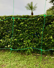 Green Plastic Trellis Netting For Climbing Plants - Commercial Grade Trellis Net