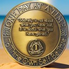 1 Year Sobriety Gifts  Living Sober Gift Chip Coin  One Year Aa Medallion Token