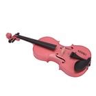 Leadzm New 4 4 Acoustic Violin Case Bow Rosin Pink
