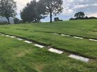 Green Hills  2 Double Cemetary Plots  Ocean View   22 000   for Each Plot 