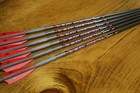6 Victory Crossbow Xbow 20  Bolts Red Lighted Half Moon Arrows Buck Addiction