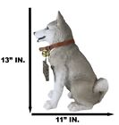 Ebros Lifelike Pet Pal Siberian Husky Sled Dog Statue 13 h W  Jingle Collar Sign