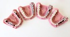 Lot Of Vintage Dentist dental Teeth Models Dentoform Articulator Dentures