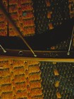 Vintage Araya 7000 Japan Rim 80s 7000  Gold Stainless Road Bike 700c