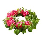 Member s Mark 26  Hydrangea   Greenery Spring Wreath