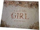 Birth Announcement Banner   a Sweet Little Girl Is On The Way  6ftx8ft