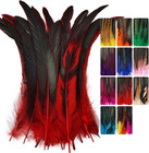 Colorful Rooster Tail Feathers-50pc 10-12inch Natural Long Rooster Tail Feathers