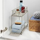 Two Tiered Slide Out Organizer