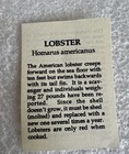 Vintage Wm William Spear Enamel Hat Lapel Pin Brooch - Lobster
