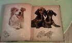 Vintage 1940s - 1960s Large Scrapbook Clippings Dog Cat Militaria Kids Religious