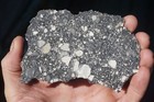 Huge  Showy 58 Gram Nwa 14686 Lunar  Meteorite Full Slice Full Of Clasts  