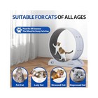 Pet Exercise Wheel  Encourages Natural Movement   Reduces Boredom