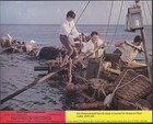 Swiss Family Robinson 8x Original Uk Foh Lobby Cards Disney John Mills Early Rr