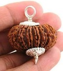 21 Mukhi Rudraksha Bead  Twenty One Face Hindu Sacred Rare Certified Authentic 