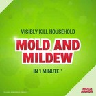 Mold Armor 32 Oz  Mold And Mildew Killer With Quick Stain Remover