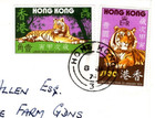 Hong Kong 1974 Lunar New Year Of Tiger Fdc Official First Day Cover