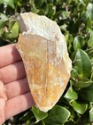 Natural Beautiful 3 64    Megalodon Tooth Fossil Shark Teeth