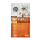 Special Kitty Outdoor Formula Dry Cat Food 2 Pack 44 Lb Sale   