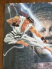 Street Fighter Ii  The Animated Movie  94 Japanese Chirashi Flyer Poster 21 x15 