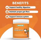 Probiotic Chews For Dogs     Supports Gut Health  Digestion  Gas  Constipation