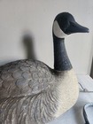 Large 22    Canadian Goose Floating Decoy     Removable Head In Head-up Position