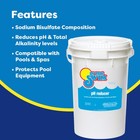 In The Swim Spa Ph Decreaser - Muriatic Acid Alternative For Pools  Spas  And