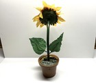 Vintage 1997 Hidden Nature Sunny Singing Sunflower Gemmy Animated Works W  Box