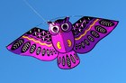 New Owl Ainimal Kite Single Line Breeze Outdoor Fun Sports For Kids Delta Kites