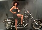 1989 - Coors Extra Gold Beer Poster - Sexy Legs On A Harley Davidson- Vintage-
