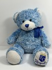 Htf Light Blue Build A Bear Kansas City Royals Plush Kc Mlb Baseball Vtg 2005