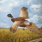Vintage Rustic Wood Framed Pheasant Wild Bird Art Painting Picture Hunting 17x13