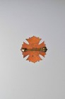 Bronze Womans Relief Corps Recognition Pin