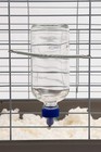 Glass Water Bottles For Rabbits  Ferrets  Small Birds  Guinea Pigs  Rats  Ham   