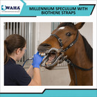 Equine Dental Millenium Speculum Horse Mouth Gag Stainless Steel Biothene Straps