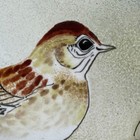 Norman   Judith Brumm Enamel Over Copper Plate W  Sparrow 7   