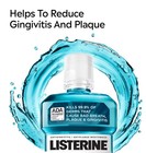 Listerine Cool Mint Antiseptic Mouthwash 2 Pack 50 7 Fl Oz