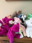 Lot Of 40 Ty  Beanie Baby Bears Ty Beanies  1