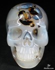 Stunning  Rare    Huge 4 8  Agate Carved Crystal Skull  Realistic