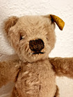 Vintage Steiff Classic Teddy Bear     7    X 3        With Ear Button  1960   s