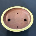 Bonsai Pot Yellow Pottery Oval Japanese Art Miniature Tree Container Ikebana