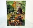 New Cat Playing Cards Set Of 52 Card Artist Poker standard Size - 3-1 2  X 2-1 2