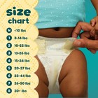 Pampers Swaddlers Size 8- 38 Count-  39 99 For One Box  10 Shipping
