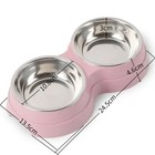 Double Pet Bowls Stainless Steel Dog Cat Feeder Food Water Dish Small Pets