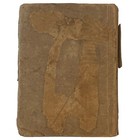 Collection Of British Authors Tauchnitz Vol 2437 Once Again Mrs Forrester 1887