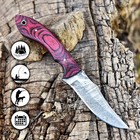 8  Custom Hand Made Forged Damascus Steel Fix Blade Hunting Skinner Knife Edc