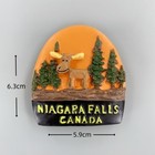 Niagara Falls  Canada Tourist Souvenir 3d Resin Fridge Magnet Gift Idea