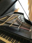 Antique  1874-1881  Chickering And Sons Semi-concert Grand Piano 46b Scale 6 8 